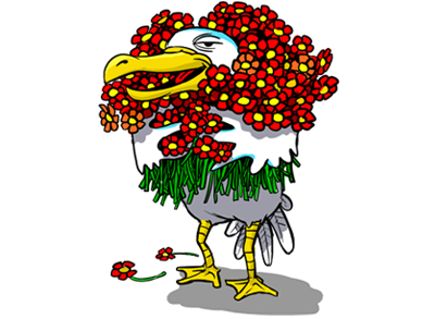 Racek Kurýr rozvoz květin Praha Racek Kurýr rozvoz květin Praha